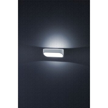 Helestra CAPE outdoor wall light LED grey, silver, 1-light source