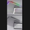 Leuchten Direkt RENDA Ceiling Light LED silver, 2-light sources, Remote control, Colour changer