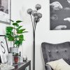 Bernado Floor Lamp black, 5-light sources