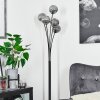 Bernado Floor Lamp black, 5-light sources