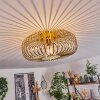 Wemude Ceiling Light brass, 1-light source