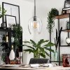 Vevino Pendant Light glass 20cm clear, 1-light source