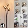 Bernado Floor Lamp black, 5-light sources