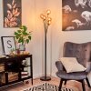 Bernado Floor Lamp black, 5-light sources