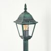 Naofe path light green, black, 1-light source