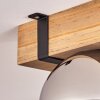 Montgomery Ceiling Light glass 15cm black, 3-light sources