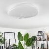 Esgos Ceiling Light LED white, 1-light source, Remote control