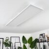 Vex Ceiling Light LED white, 1-light source, Remote control