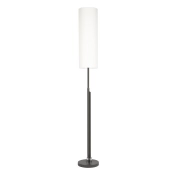 Coquimbito Floor Lamp LED anthracite, 2-light sources