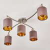 Glane Ceiling Light matt nickel, 5-light sources