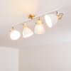 Banjul Ceiling Light Light wood, white, 4-light sources