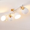Banjul Ceiling Light Light wood, white, 4-light sources