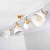 Banjul Ceiling Light Light wood, white, 4-light sources