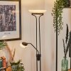Biot Floor Lamp LED black, 2-light sources