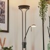 Biot Floor Lamp LED black, 2-light sources