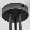 Cabalonga Ceiling Light black, 3-light sources