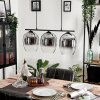 Vevino Pendant Light clear, Smoke-coloured, 3-light sources