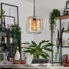 Lauden Pendant Light glass 25cm Amber, clear, 1-light source