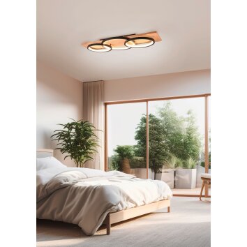 Trio BARCA Ceiling Light LED Ecru, black, 1-light source