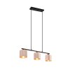 Trio JULIETA Pendant Light black, 3-light sources