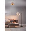 Trio JULIETA Ceiling Light black, 2-light sources