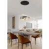 Trio MARNIE Pendant Light LED gold, black, 1-light source