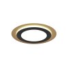 Trio MORGAN Ceiling Light LED gold, black, 1-light source, Remote control