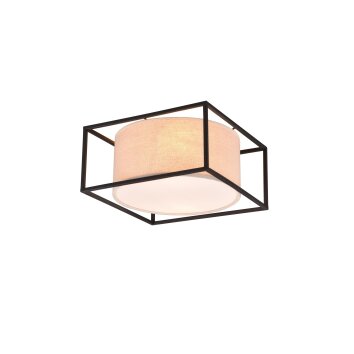 Trio ROSS Ceiling Light black, 2-light sources