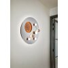 Trio ZODIAC Ceiling Light LED brushed aluminium, gold, 1-light source