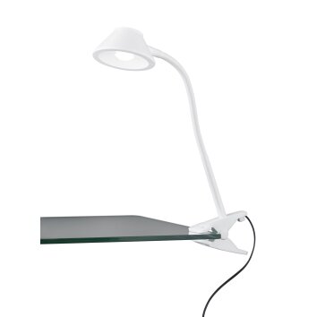 Reality BERRY clamp-on light LED white, 1-light source