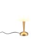 Reality CANARIA Table lamp LED brass, 1-light source