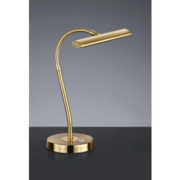 Trio CURTIS table lamp LED brass, 1-light source