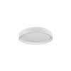 Reality FELIS Ceiling Light LED white, 1-light source, Remote control