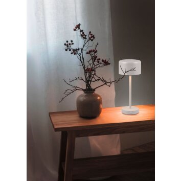 Reality JEFF Table lamp LED grey, 1-light source
