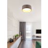 Reality LOCARNO Ceiling Light LED white, 1-light source