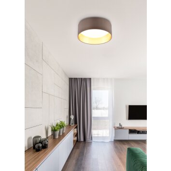 Reality LOCARNO Ceiling Light LED white, 1-light source