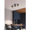 Reality PUNCH Ceiling Light gold, black, 3-light sources