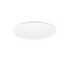 Reality SCOTT Ceiling Light LED white, 1-light source, Remote control