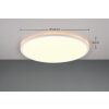 Reality SCOTT Ceiling Light LED white, 1-light source, Remote control