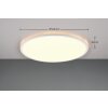 Reality SCOTT Ceiling Light LED white, 1-light source, Remote control