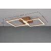 Reality TRAIL Ceiling Light LED brown, 1-light source