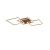 Reality TRAIL Ceiling Light LED brown, 1-light source