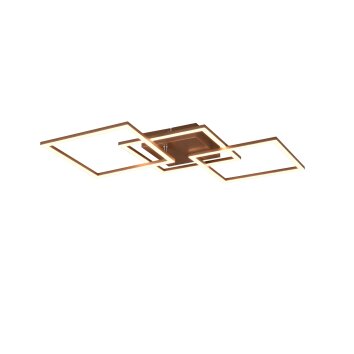 Reality TRAIL Ceiling Light LED brown, 1-light source