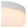 Lucide BISKIT Ceiling Light LED white, 1-light source, Motion sensor
