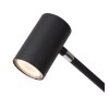Lucide TIPIK Floor Lamp LED black, 1-light source