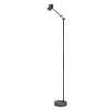 Lucide TIPIK Floor Lamp LED black, 1-light source