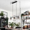 GASTOR Pendant Light clear, Smoke-coloured, 3-light sources