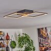 OBO Ceiling Light LED black, 1-light source
