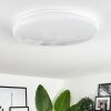 ESGOS Ceiling Light LED white, 1-light source, Remote control