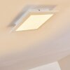VOISINES Ceiling light LED white, 1-light source, Remote control, Colour changer